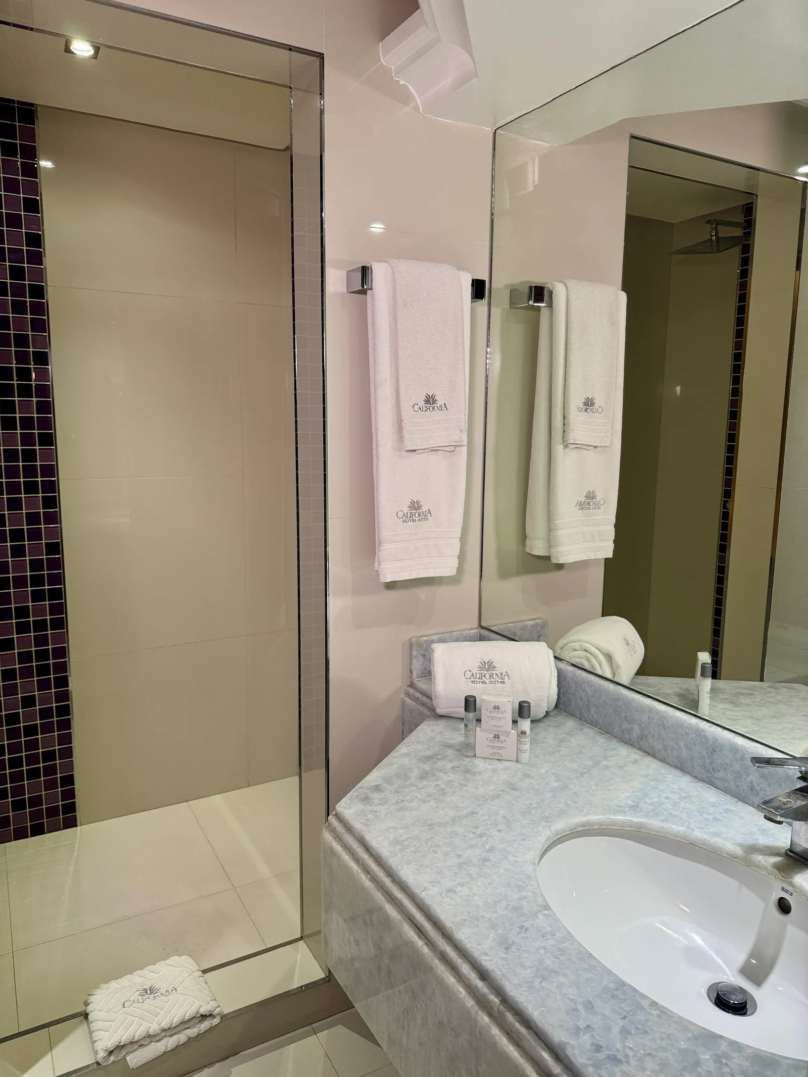 Suite Deluxe, ambiente de la habitación